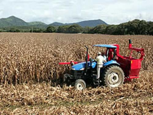 Procuraduría Agraria ayuda a Conciliar en conflictos de ejidos